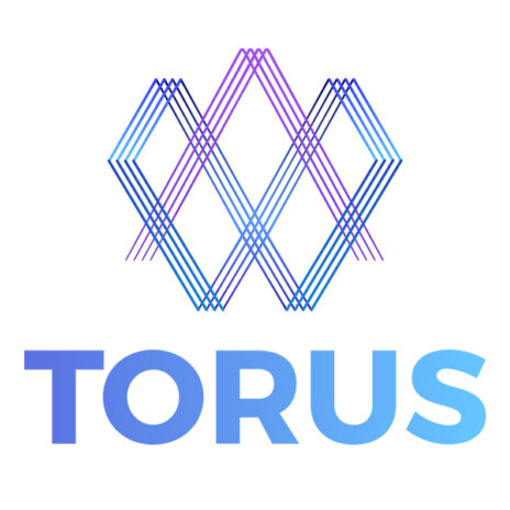 Torus square logo